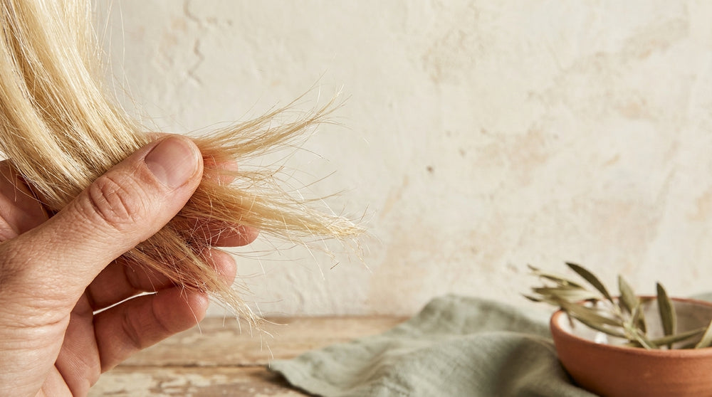 Bleach recovery: what can and cannot be undone.
