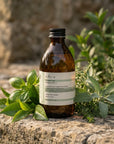 Evera Daily Shampoo No1 in a natural botanical setting