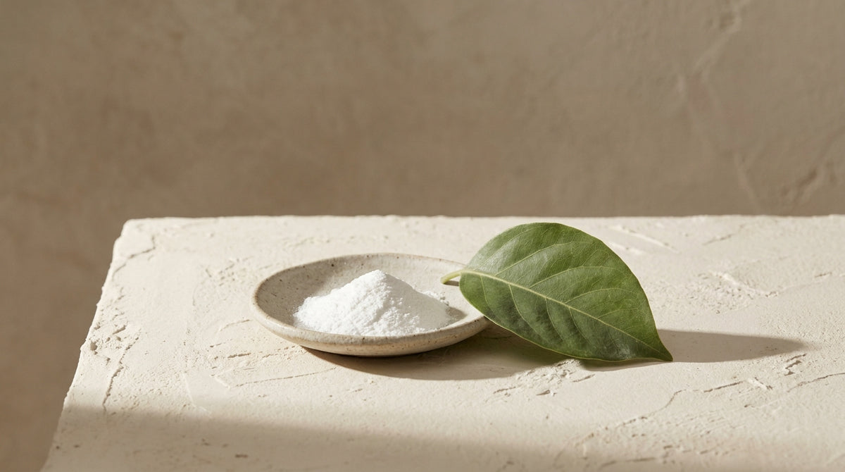 Niacinamide and the scalp barrier’s resilience.