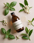 Frequent Use Shampoo N1 — the botanical ingredients inside