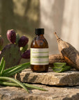 Evera Styling Nectar No.11 with aloe, prickly pear and baobab